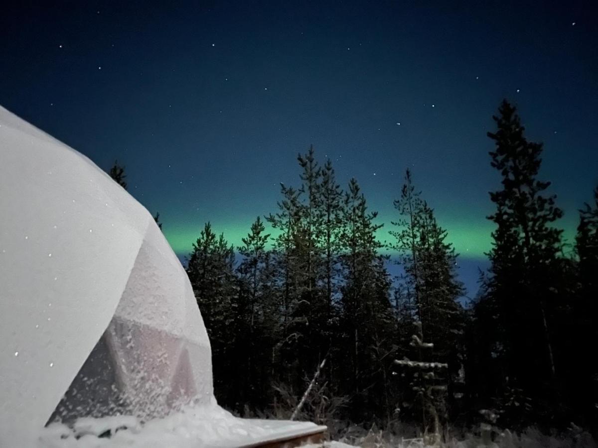 רובניימי Aurora Igloo Fireplace-Heated Tents In A Secret Forest With Private Jacuzzi And Shared Sauna Bathroom And Dog Friendly מראה חיצוני תמונה