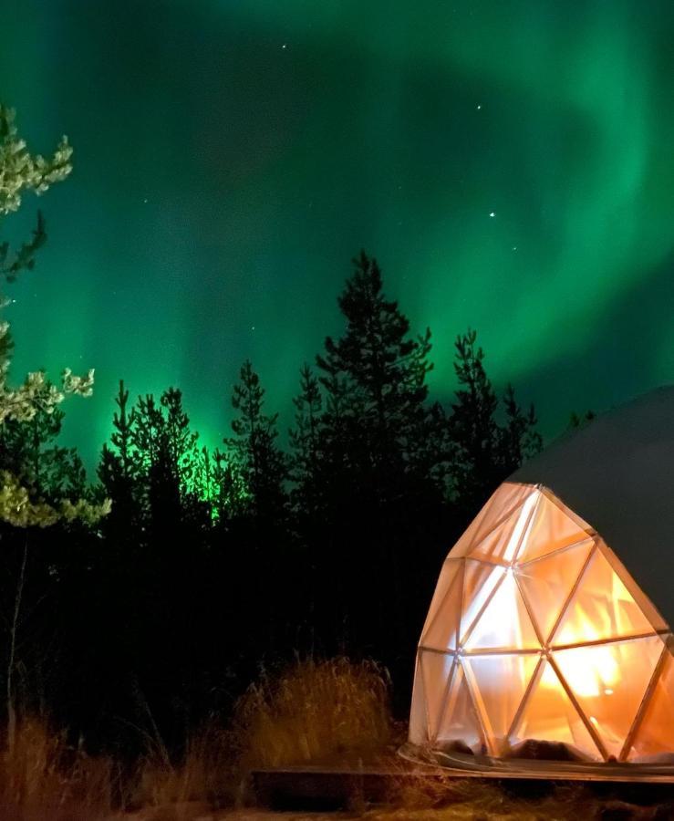 רובניימי Aurora Igloo Fireplace-Heated Tents In A Secret Forest With Private Jacuzzi And Shared Sauna Bathroom And Dog Friendly מראה חיצוני תמונה